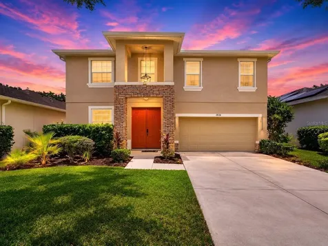 19128 Meadow Pine Drive Tampa FL 33647
