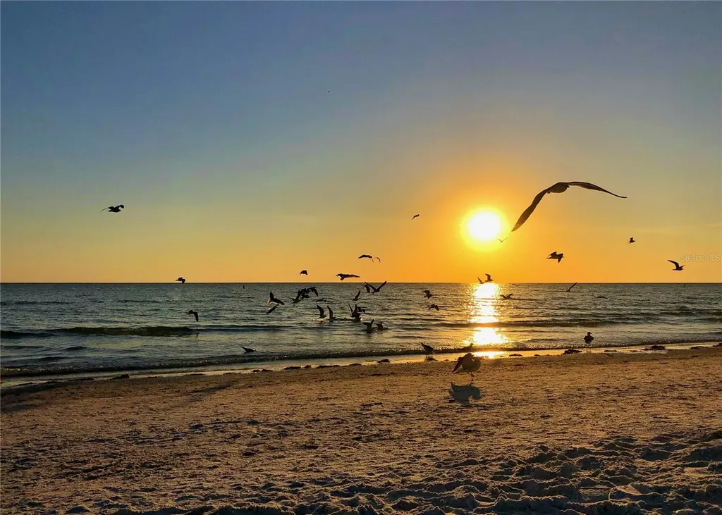 1350 Main Street Sarasota FL 34236