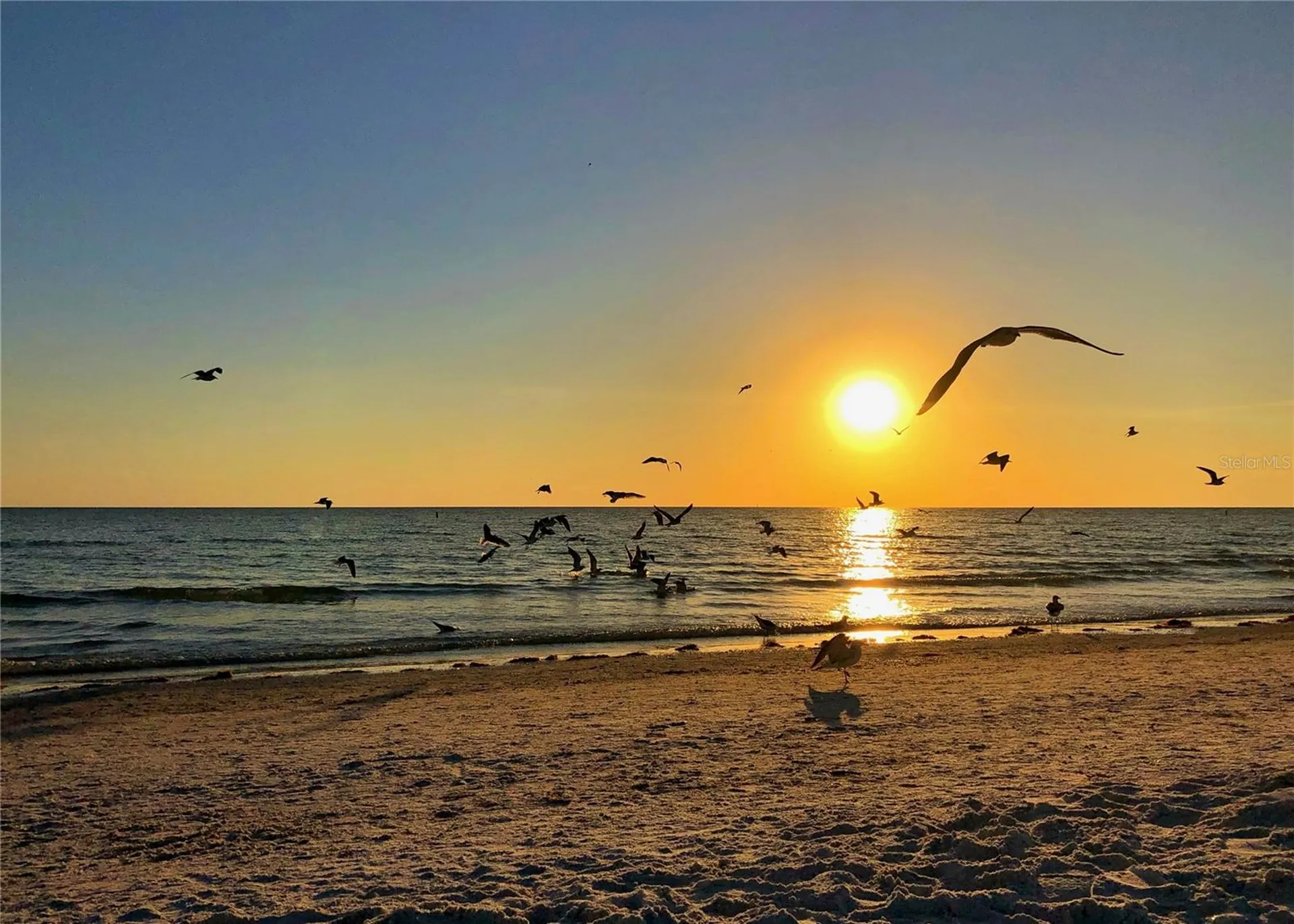 1350 Main Street Sarasota FL 34236