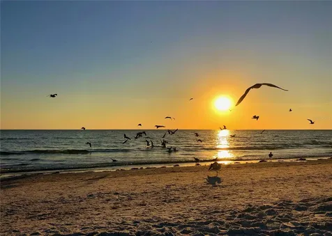 1350 Main Street Sarasota FL 34236