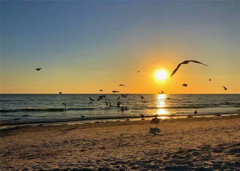 1350 Main Street Sarasota FL 34236