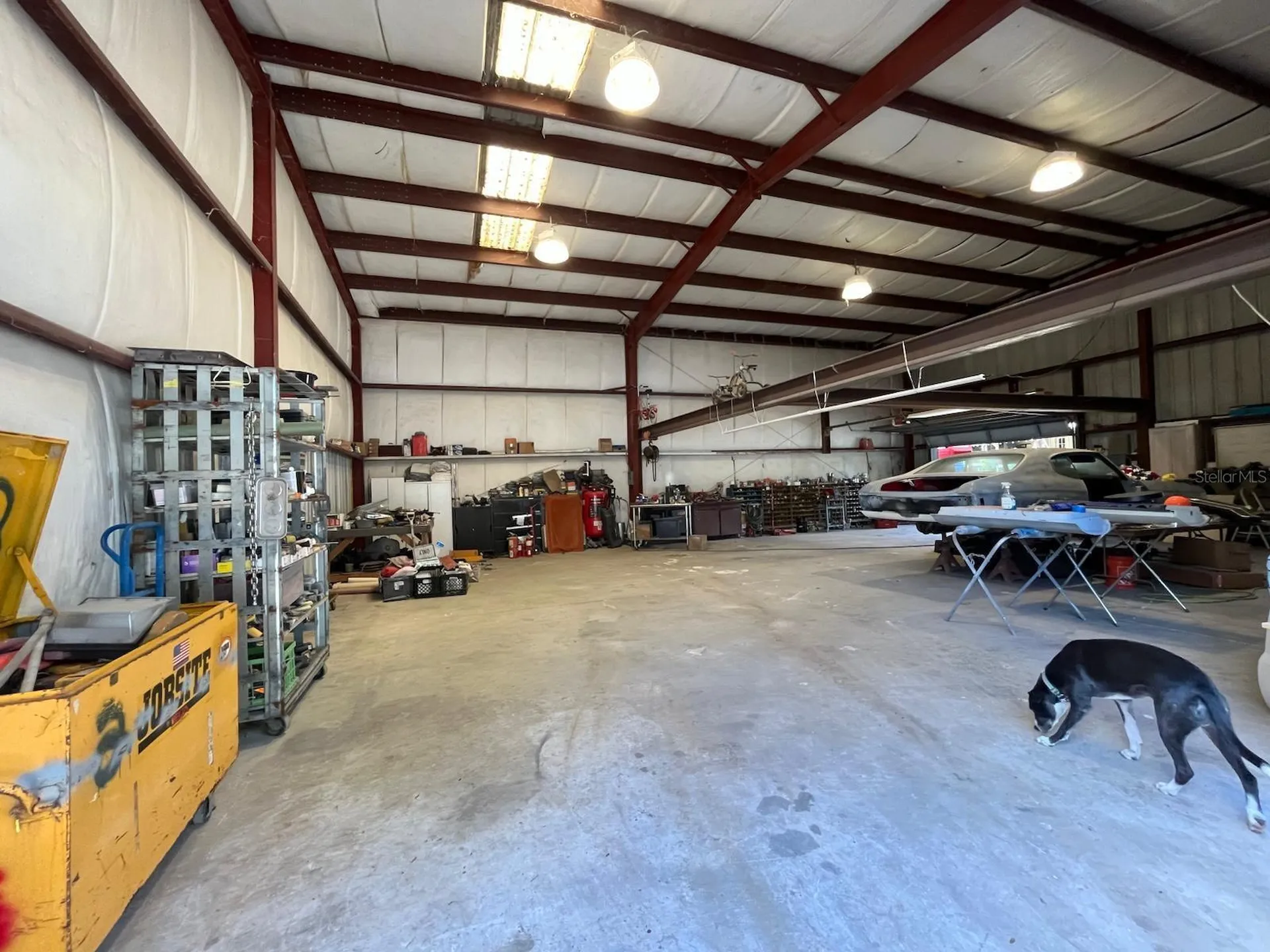 12709 Chihuahua Court Thonotosassa FL 33592