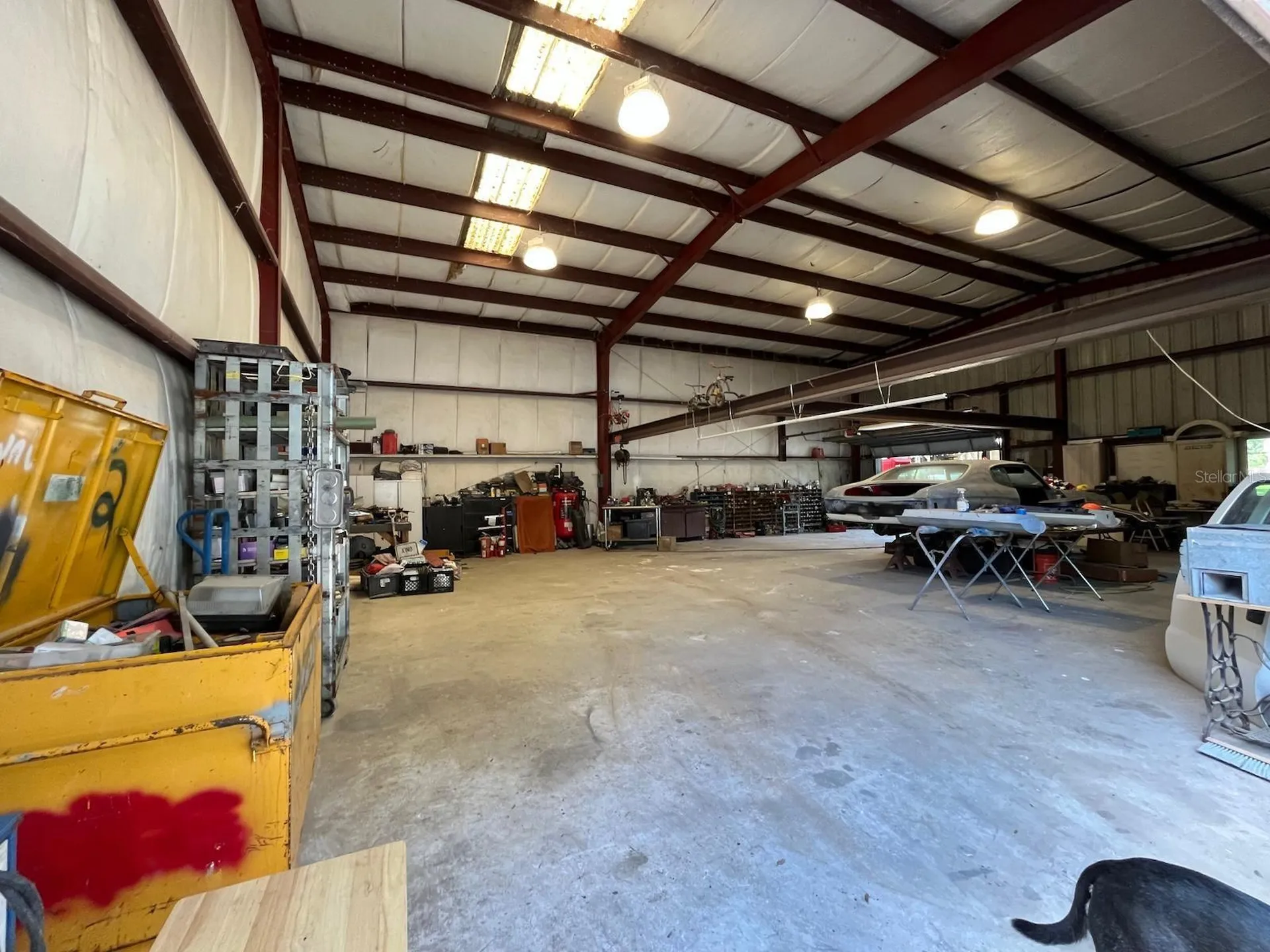 12709 Chihuahua Court Thonotosassa FL 33592