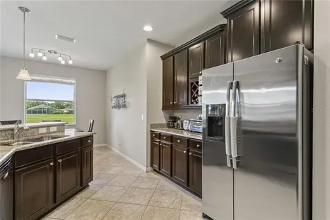 29255 Grass Bunker Drive San Antonio FL 33576