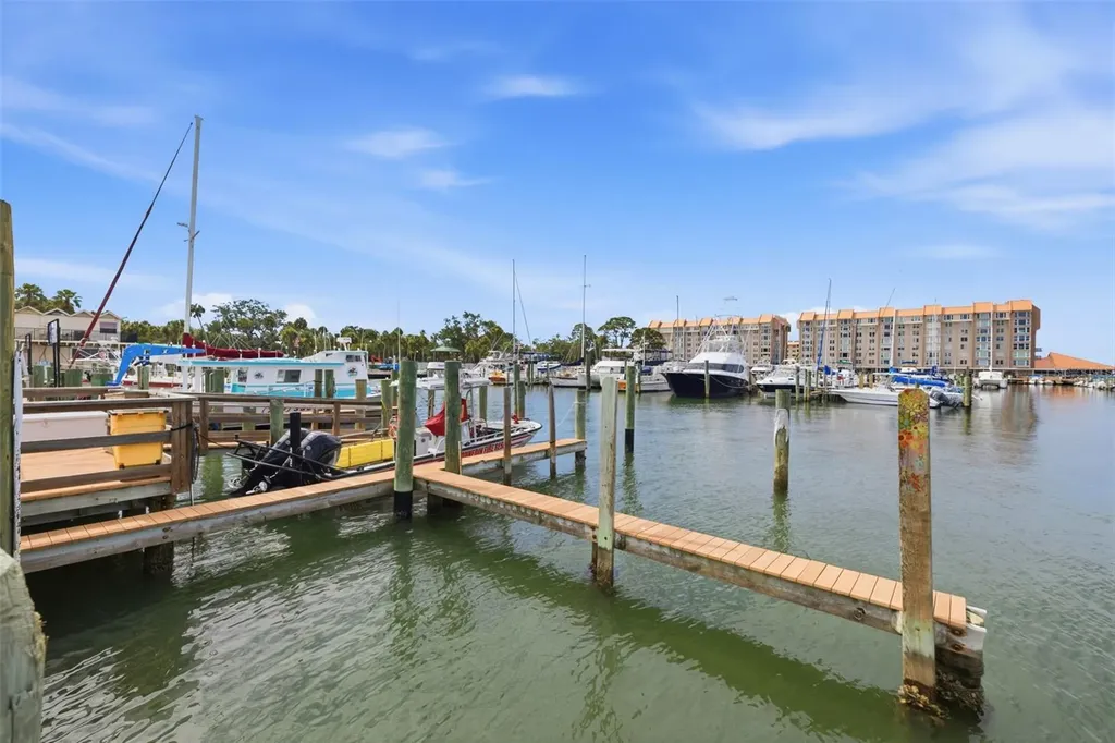 500 New York Avenue Dunedin FL 34698