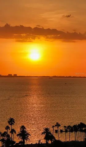 401 Quay Sarasota FL 34236
