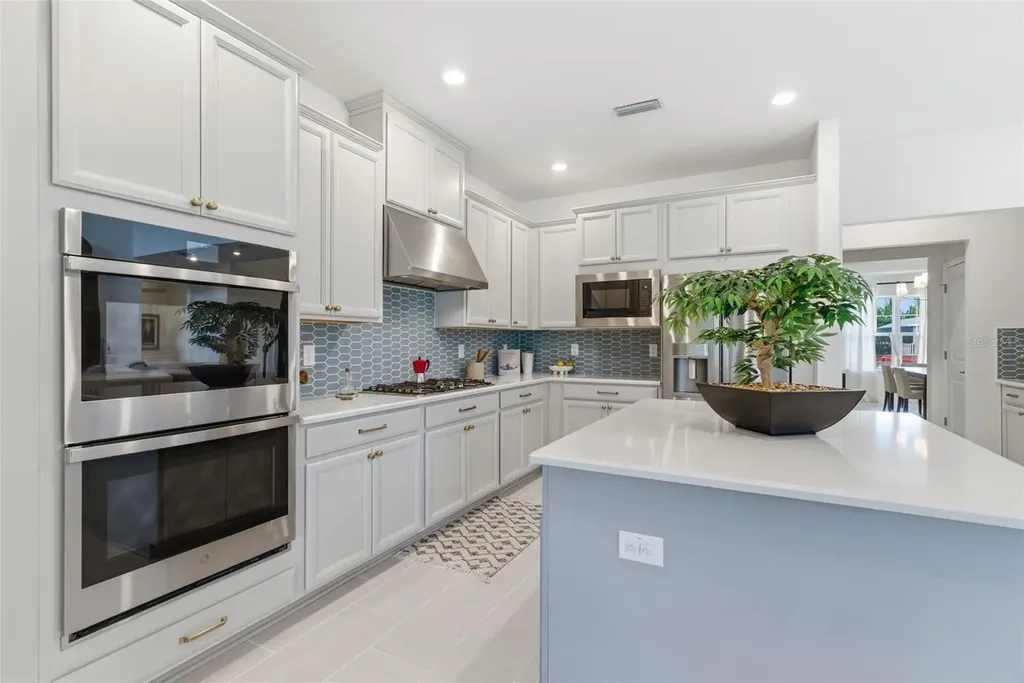 33774 Castaway Loop Wesley Chapel FL 33543