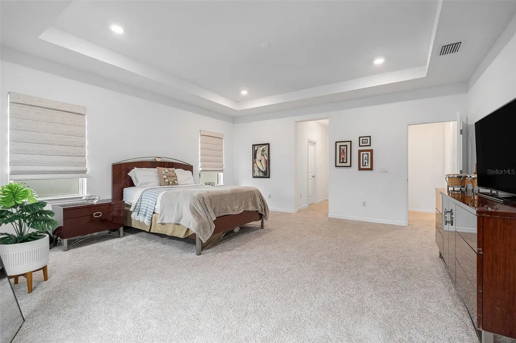 33774 Castaway Loop Wesley Chapel FL 33543