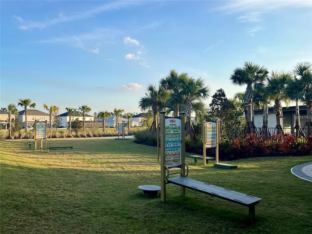 33774 Castaway Loop Wesley Chapel FL 33543
