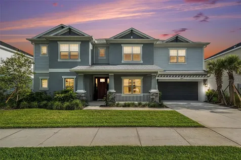 33774 Castaway Loop Wesley Chapel FL 33543