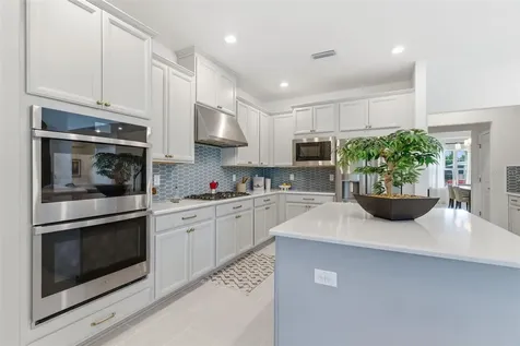 33774 Castaway Loop Wesley Chapel FL 33543