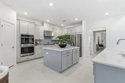 33774 Castaway Loop Wesley Chapel FL 33543