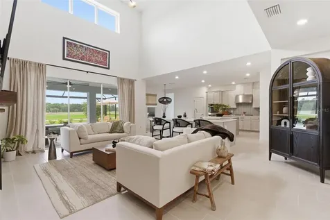 33774 Castaway Loop Wesley Chapel FL 33543