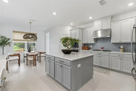 33774 Castaway Loop Wesley Chapel FL 33543