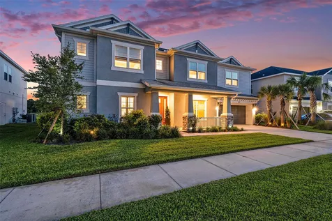 33774 Castaway Loop Wesley Chapel FL 33543