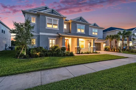 33774 Castaway Loop Wesley Chapel FL 33543
