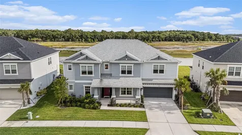 33774 Castaway Loop Wesley Chapel FL 33543