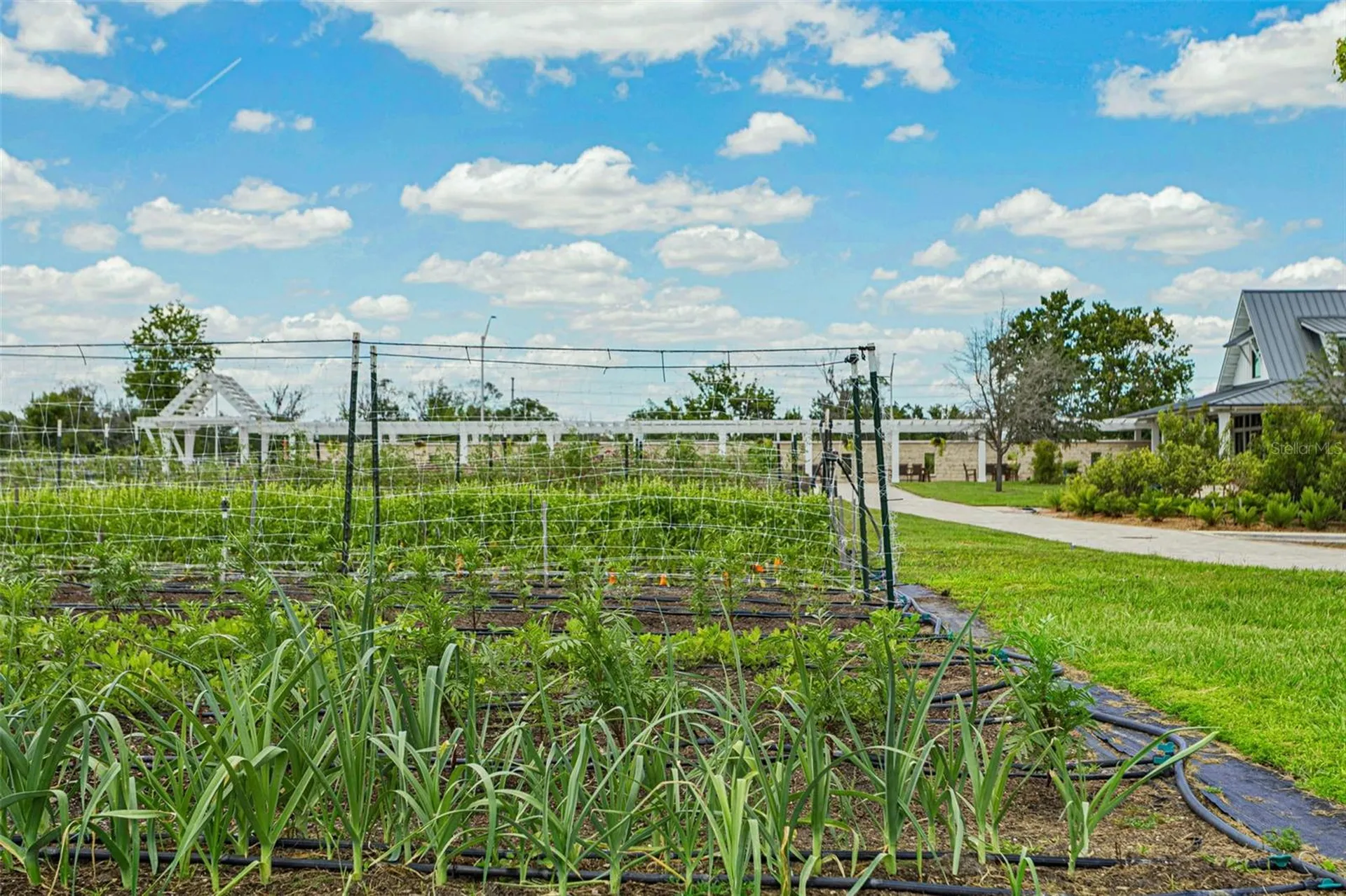 10989 Wishing Cloud Road Land O Lakes FL 34638