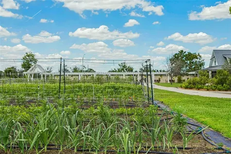 10989 Wishing Cloud Road Land O Lakes FL 34638