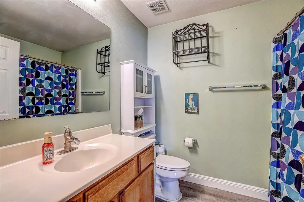 30257 Birdhouse Drive Wesley Chapel FL 33545