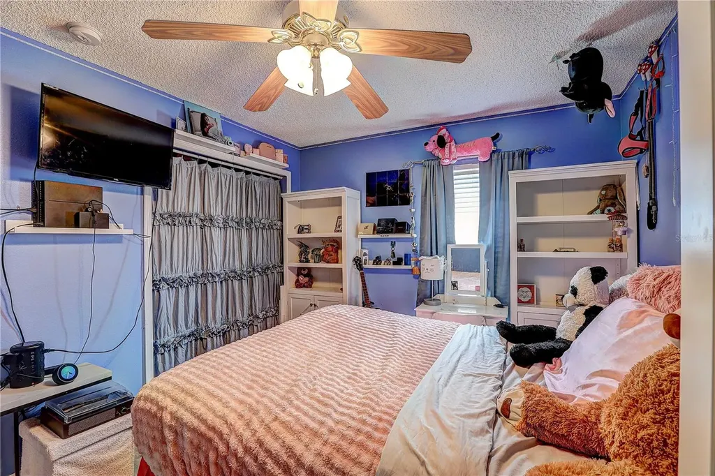 30257 Birdhouse Drive Wesley Chapel FL 33545