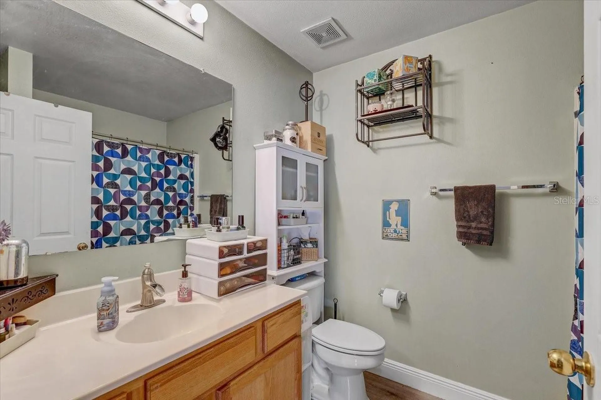 30257 Birdhouse Drive Wesley Chapel FL 33545