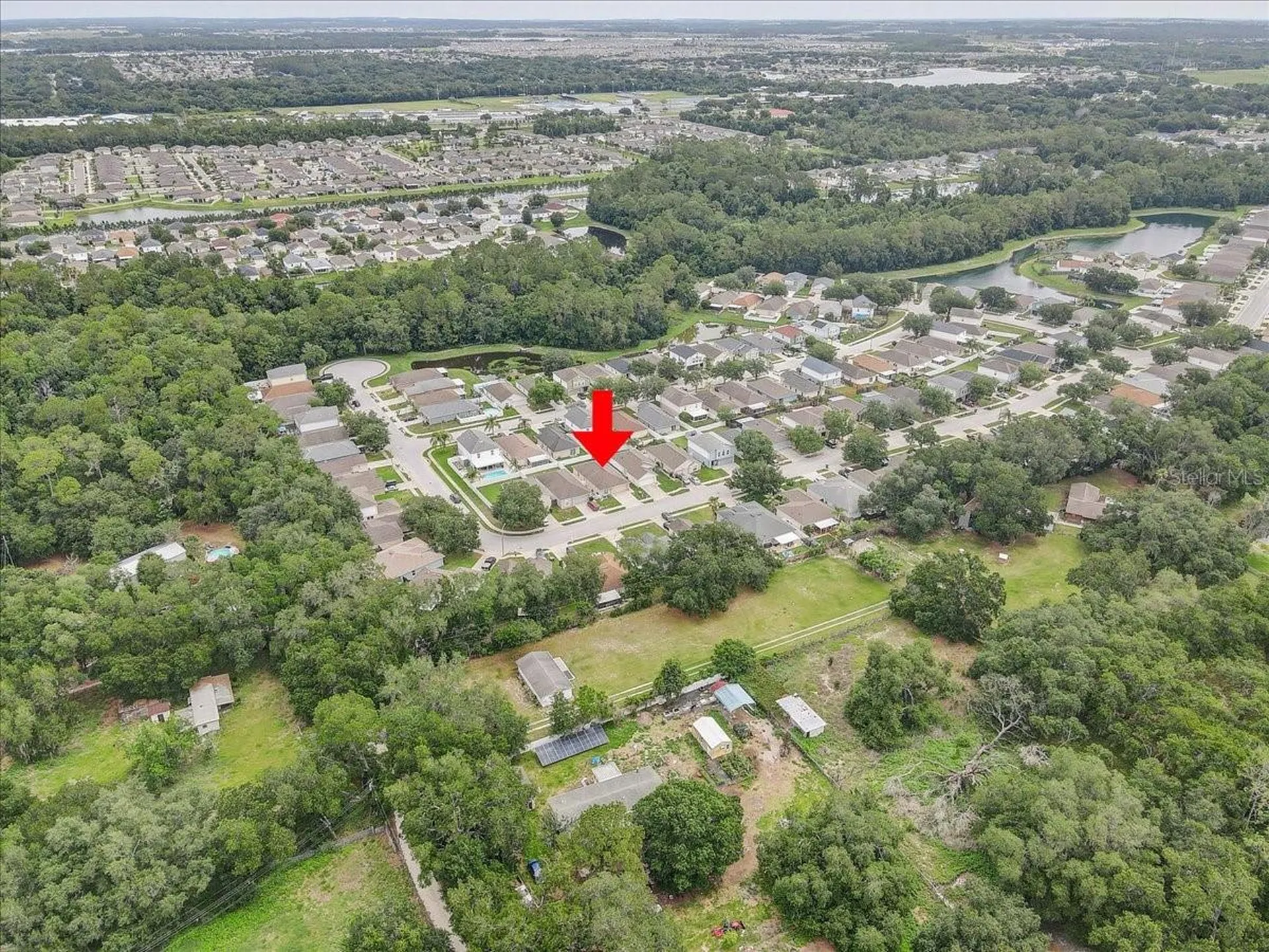 30257 Birdhouse Drive Wesley Chapel FL 33545