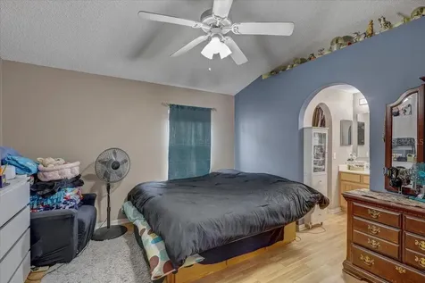 30257 Birdhouse Drive Wesley Chapel FL 33545