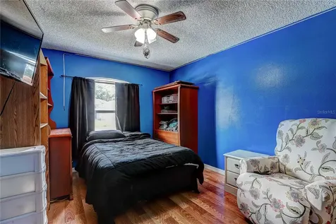 30257 Birdhouse Drive Wesley Chapel FL 33545