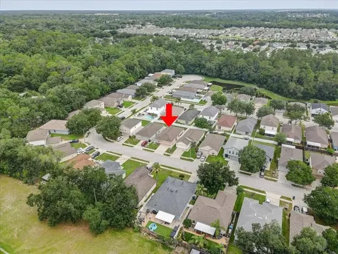 30257 Birdhouse Drive Wesley Chapel FL 33545