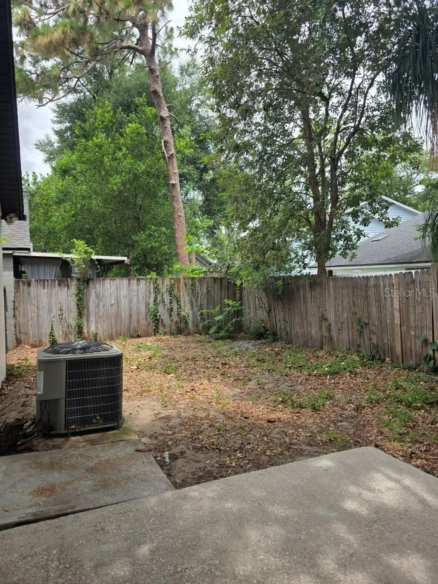 1219 Pin Oak Drive Apopka FL 32703