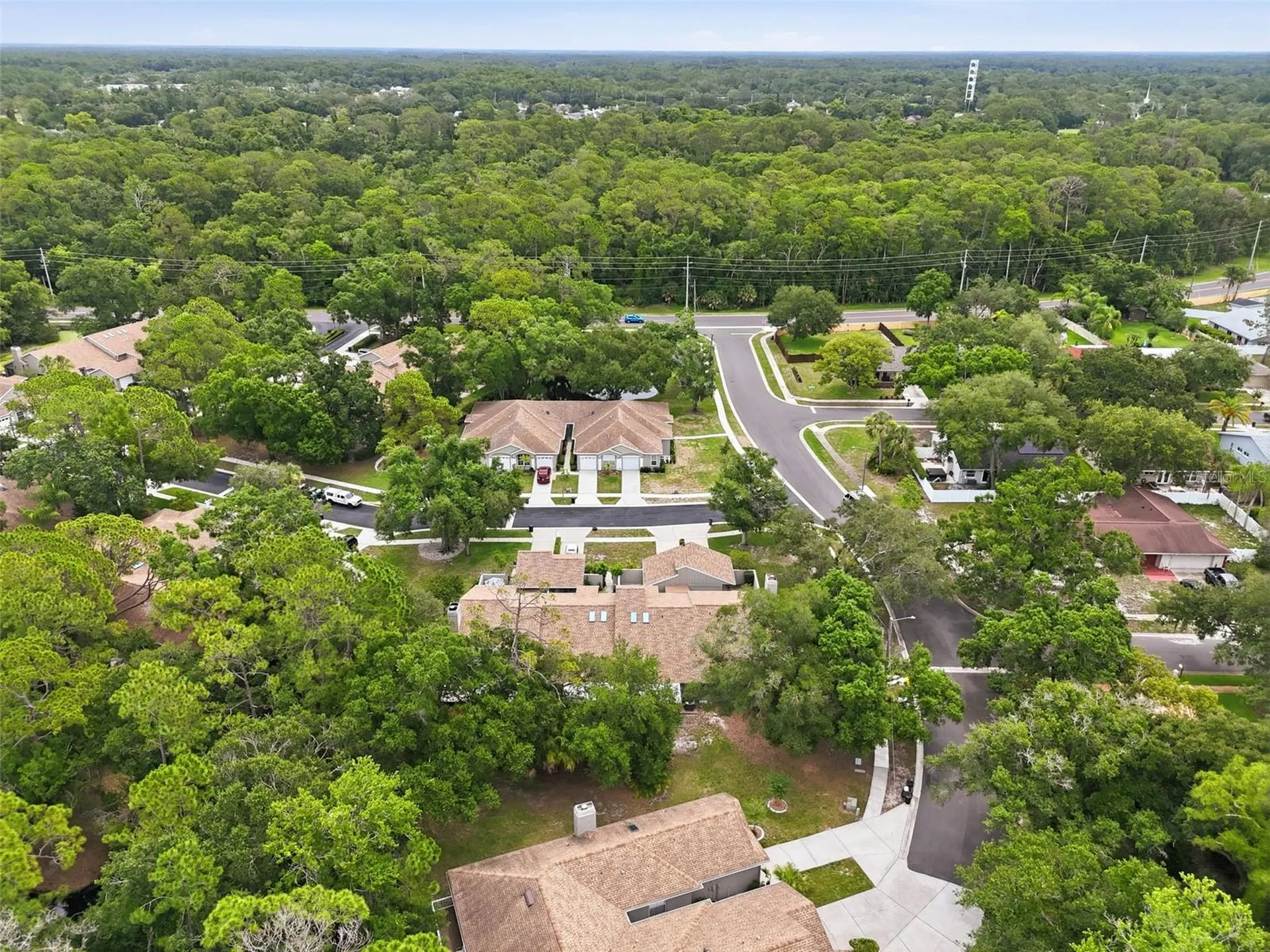 3142 Brooker Creek Way Palm Harbor FL 34685