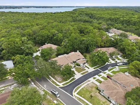 3142 Brooker Creek Way Palm Harbor FL 34685