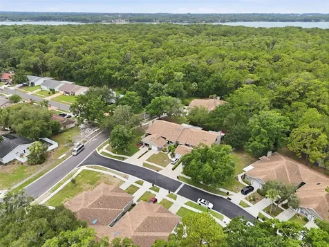 3142 Brooker Creek Way Palm Harbor FL 34685