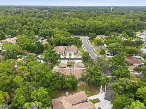 3142 Brooker Creek Way Palm Harbor FL 34685