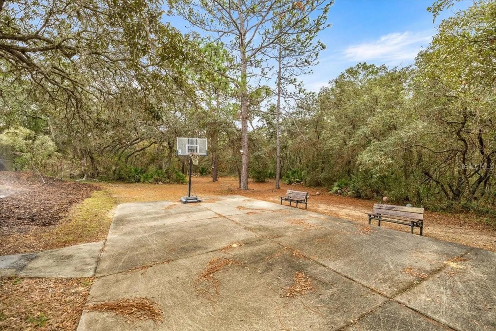 4860 W Angus Drive Beverly Hills FL 34465