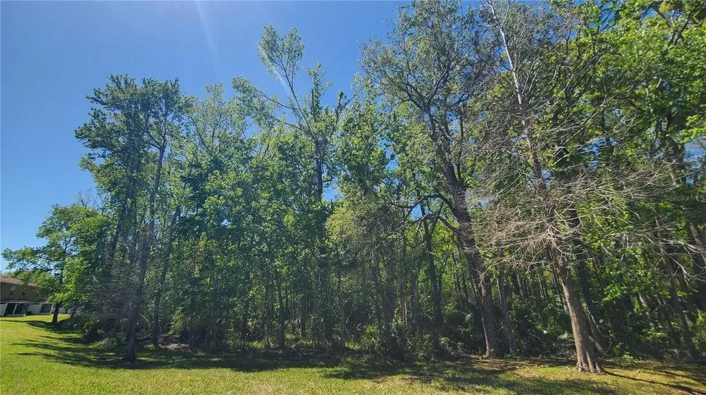 4535 Winding River Way Land O Lakes FL 34639
