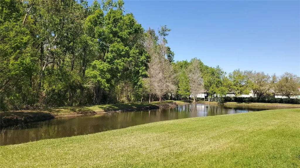 4535 Winding River Way Land O Lakes FL 34639