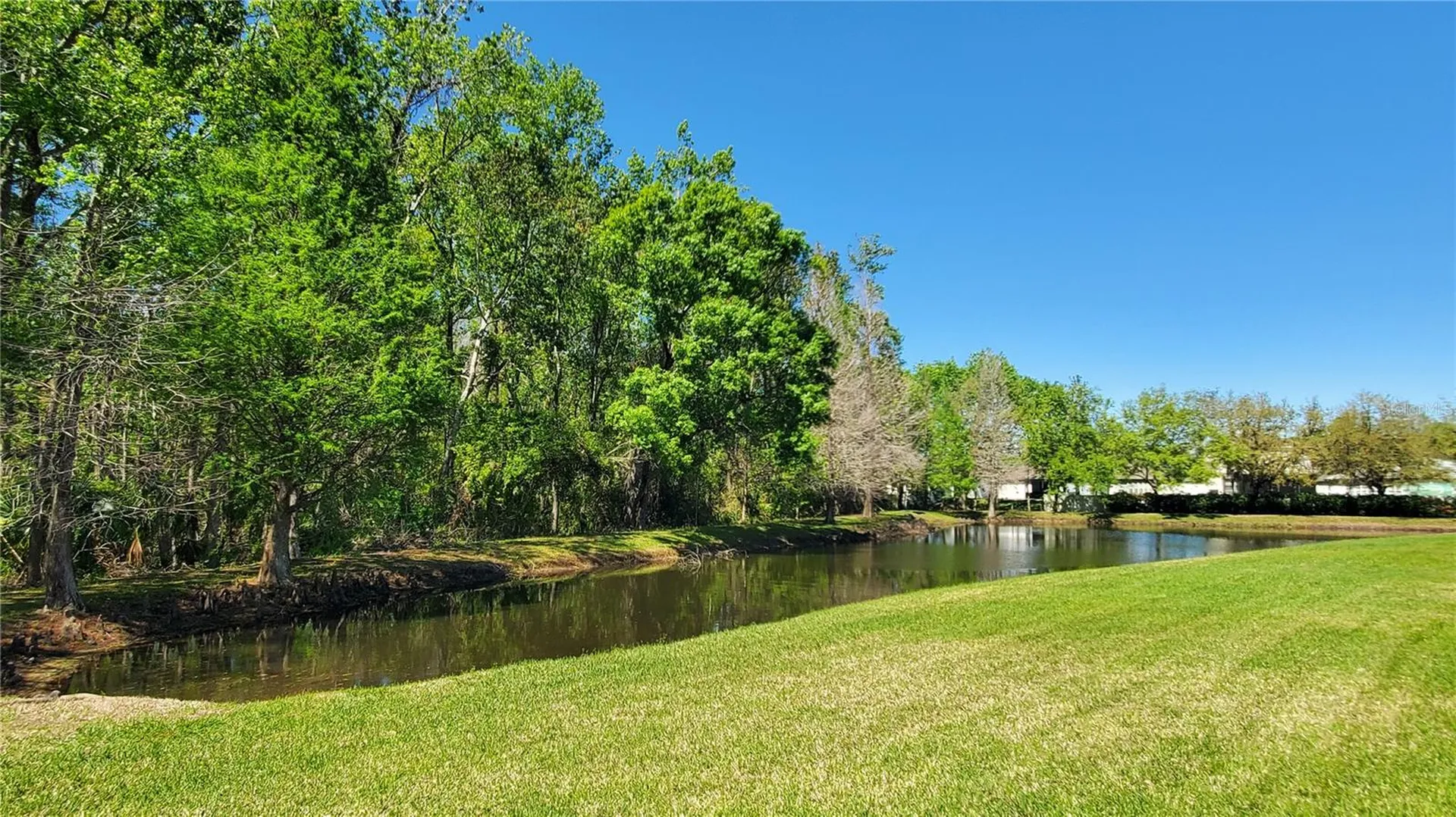 4535 Winding River Way Land O Lakes FL 34639