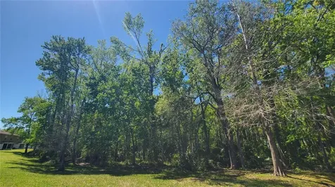 4535 Winding River Way Land O Lakes FL 34639