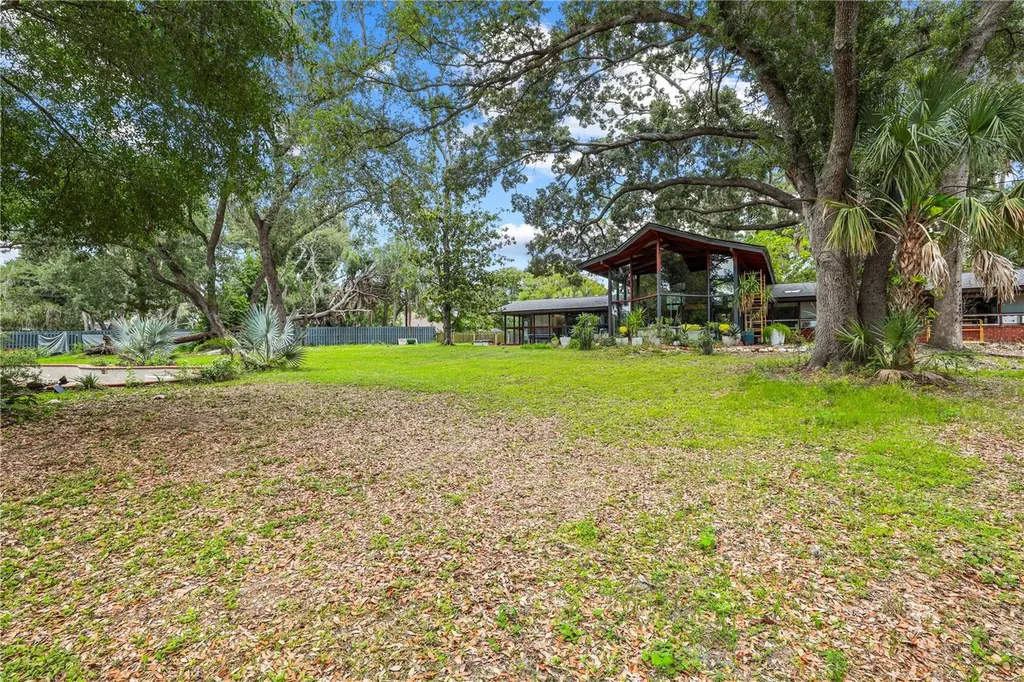 10134 White Trout Lane Tampa FL 33618