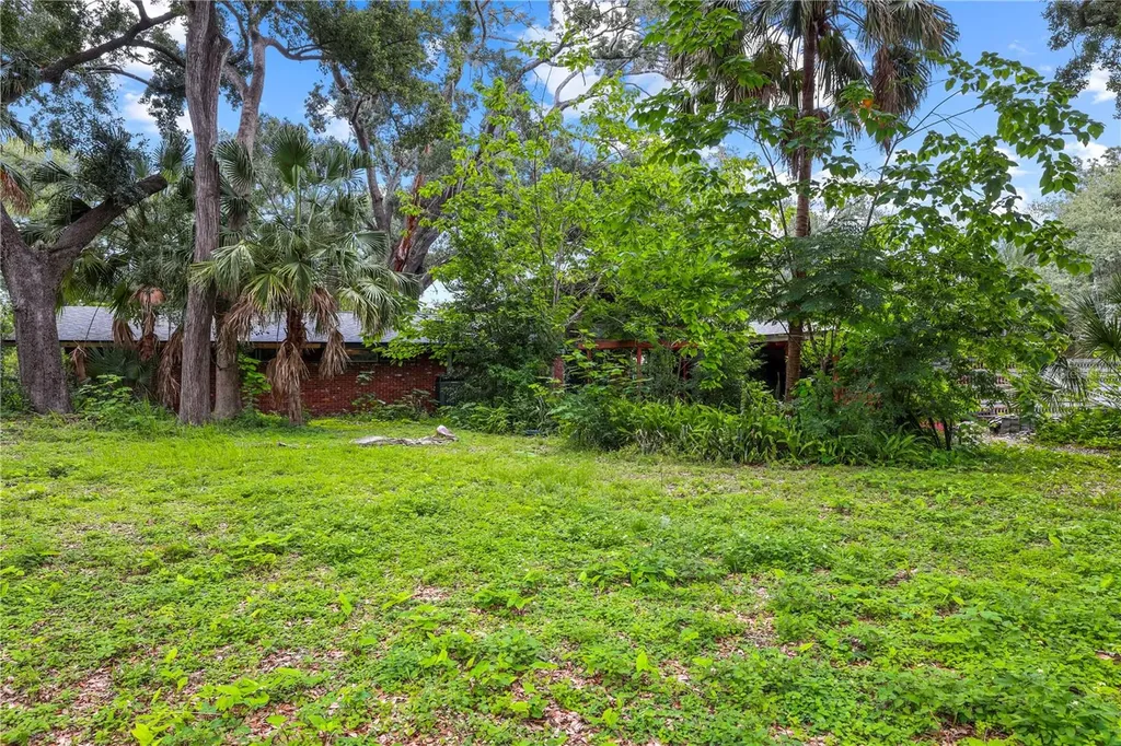 10134 White Trout Lane Tampa FL 33618