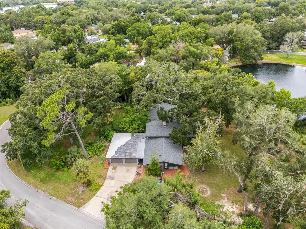 10134 White Trout Lane Tampa FL 33618