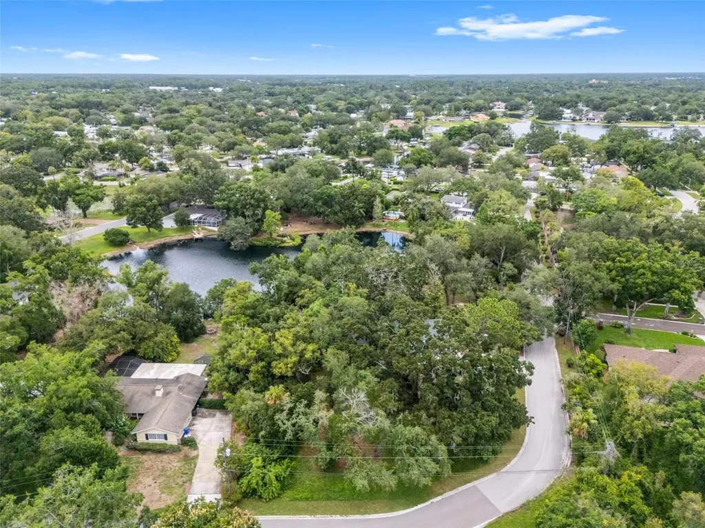 10134 White Trout Lane Tampa FL 33618