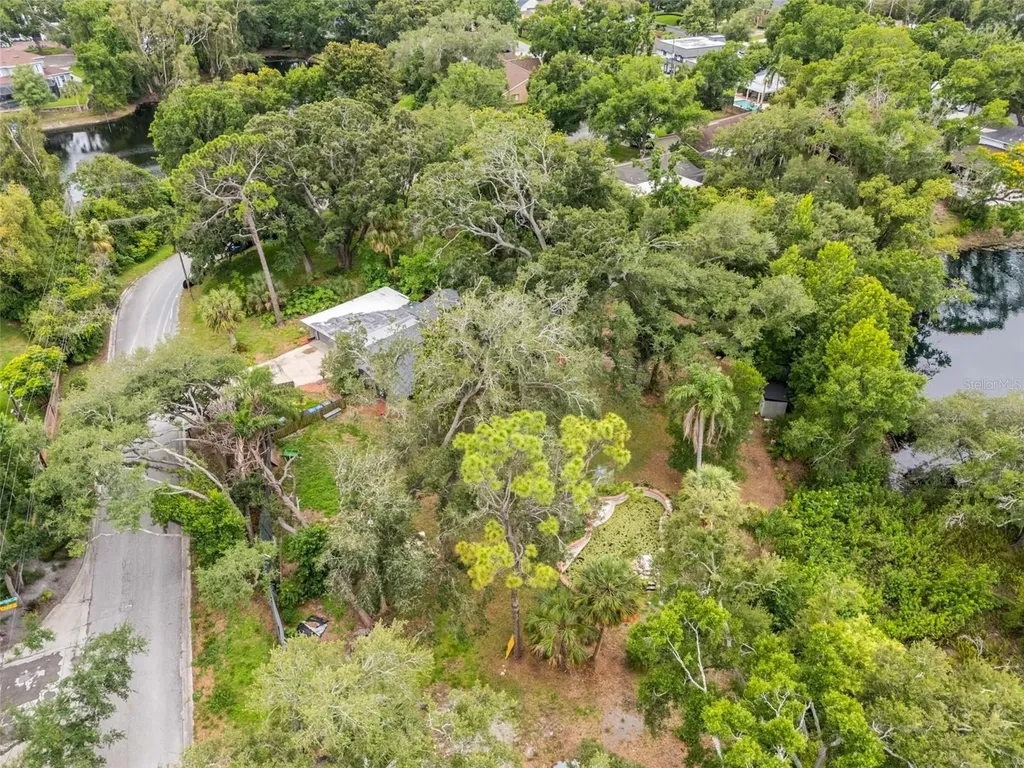 10134 White Trout Lane Tampa FL 33618