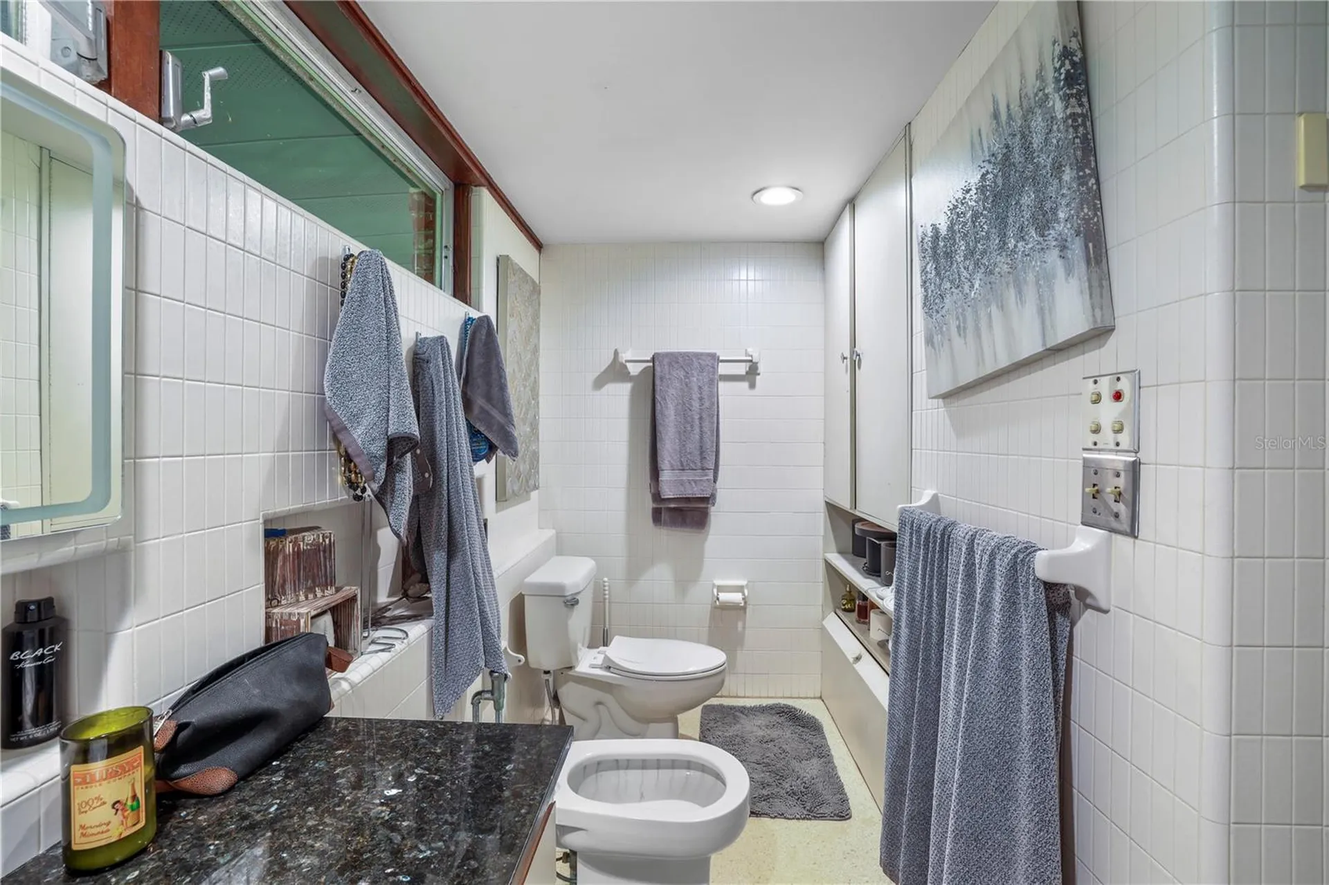10134 White Trout Lane Tampa FL 33618