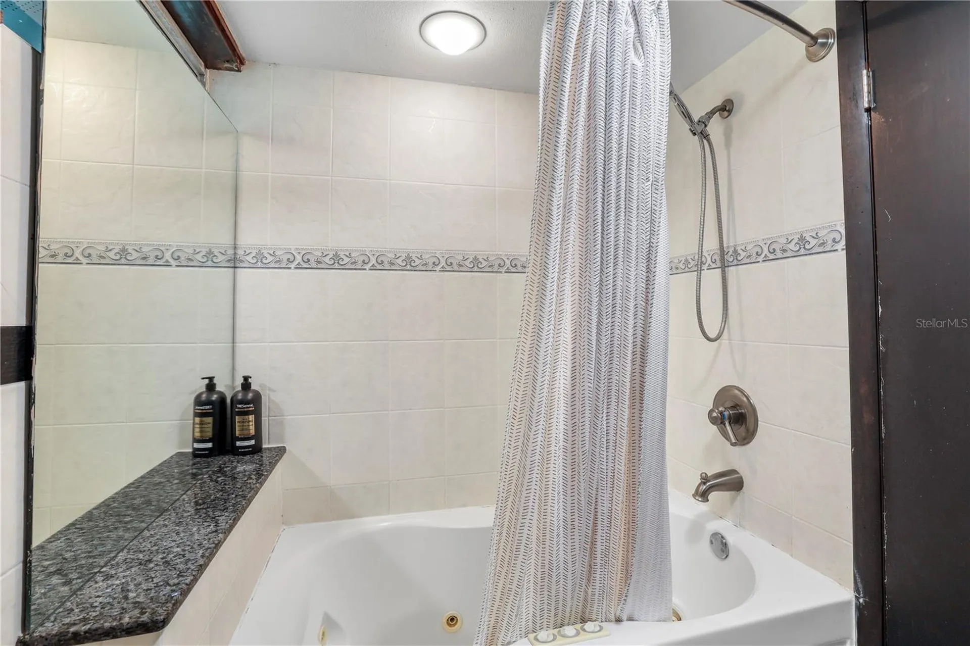 10134 White Trout Lane Tampa FL 33618