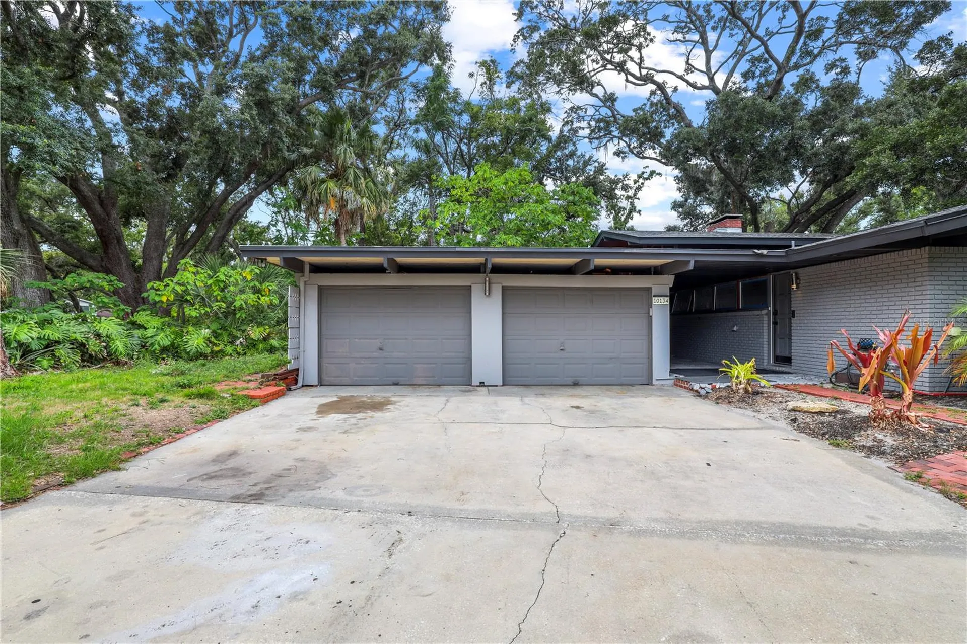 10134 White Trout Lane Tampa FL 33618