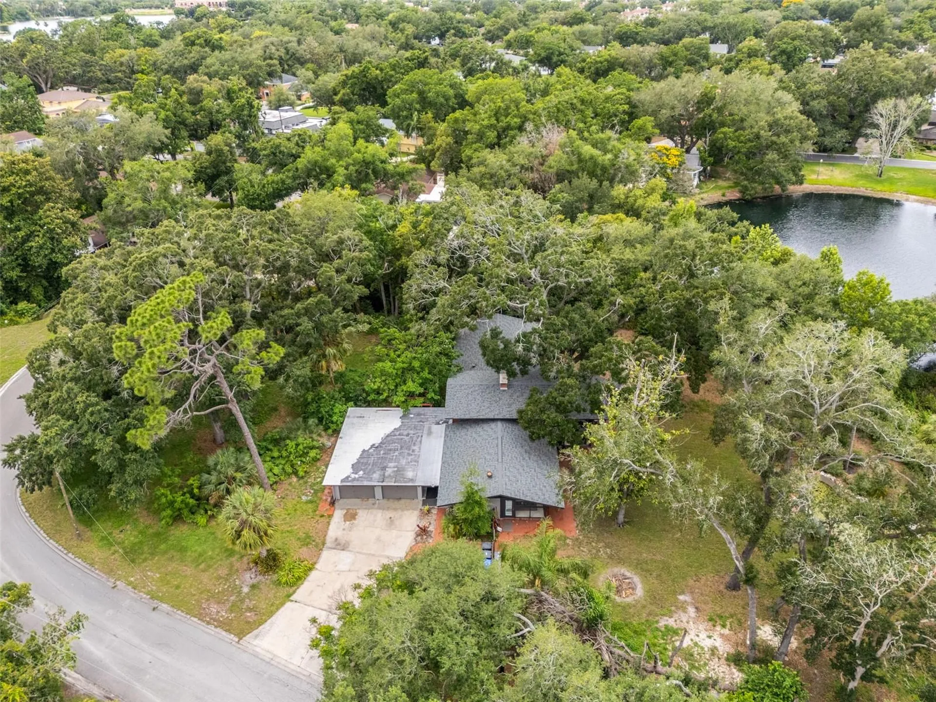 10134 White Trout Lane Tampa FL 33618