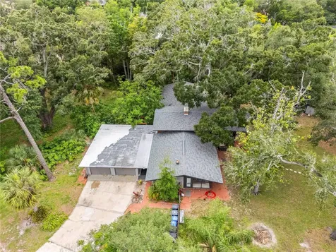 10134 White Trout Lane Tampa FL 33618